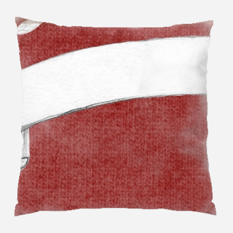 Coussin décoratif Durfee, Microsuède, Intérieur 