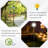 Solar Torch Lights 6 Led Water-resist