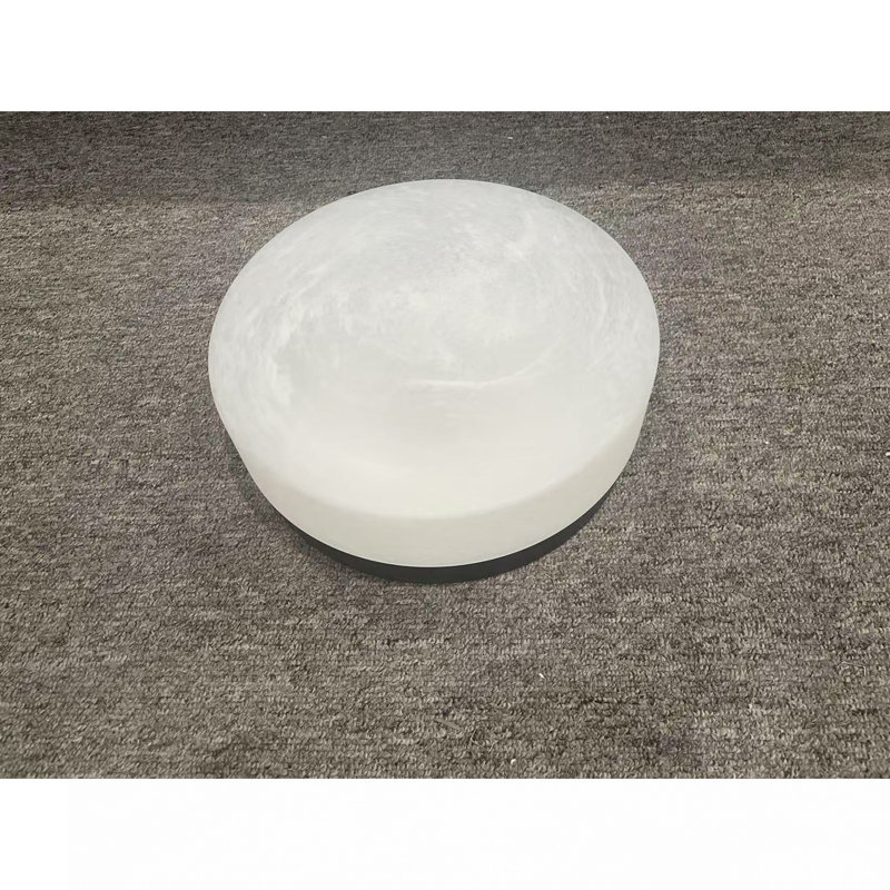 Plafonnier DEL 12 pouces, plafonnier encastré 24W, plafonniers ronds à profil bas pour chambre à coucher, salon, salle à manger (noir)