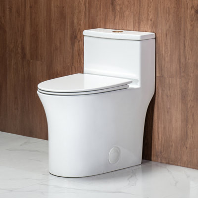 17" Comfort Height Toilet, One Piece Toilet, Elongated Toilet, Soft Close & Quick-Release Seat, Dual Flush, MAP 1000g Powerful Siphon Flush, Compact Fully Skirted, White with golden button,