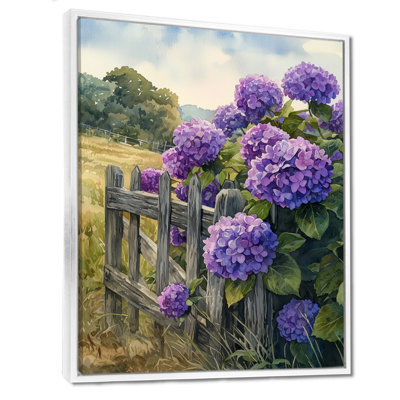 Canterbury Summer Hydrangeas By The Farm Fence IV - Hydrangea Wall Art