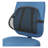 Mesh Back Support