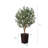 Adcock Artificial Olive Tree with Decorative Pot, UV Resistant Faux Olive Tree with Natural Trunk-1799478849-1799478852
