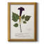 Nature imprimée Botanicals IV, toile encadrée de qualité supérieure - prête à être accrochée-1955749143