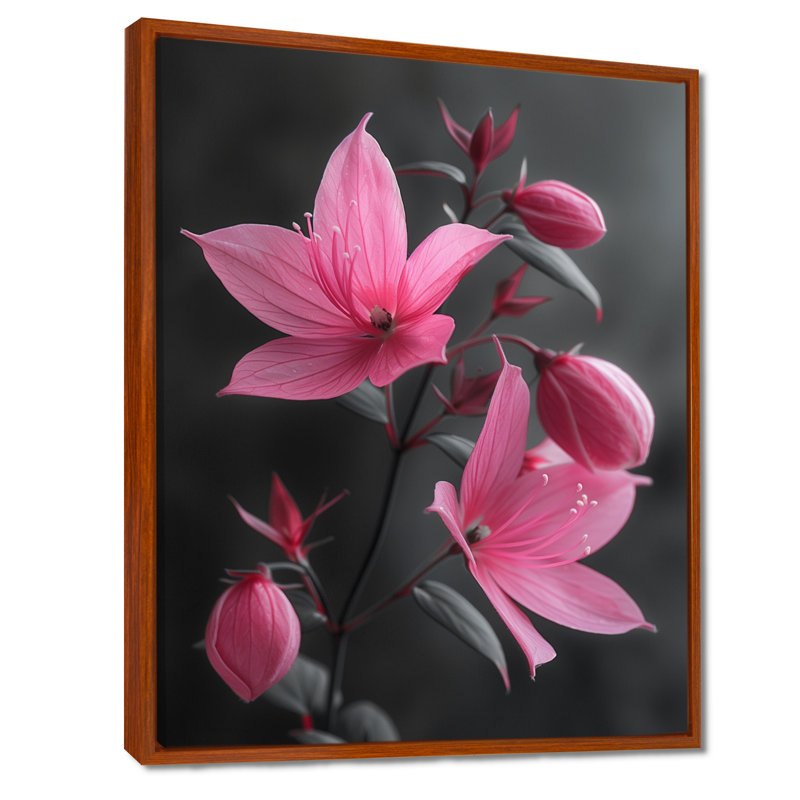 Fuchsia - Fuchsia, Cadre flottant noir, bois massif, H 16 po x l 32 po
