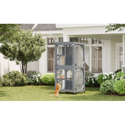 Enceinte d'extérieur pour chat 68 "avec roulettes, fenêtre Catio avec 4 plateformes, toit résistant aux intempéries et poteau à griffes