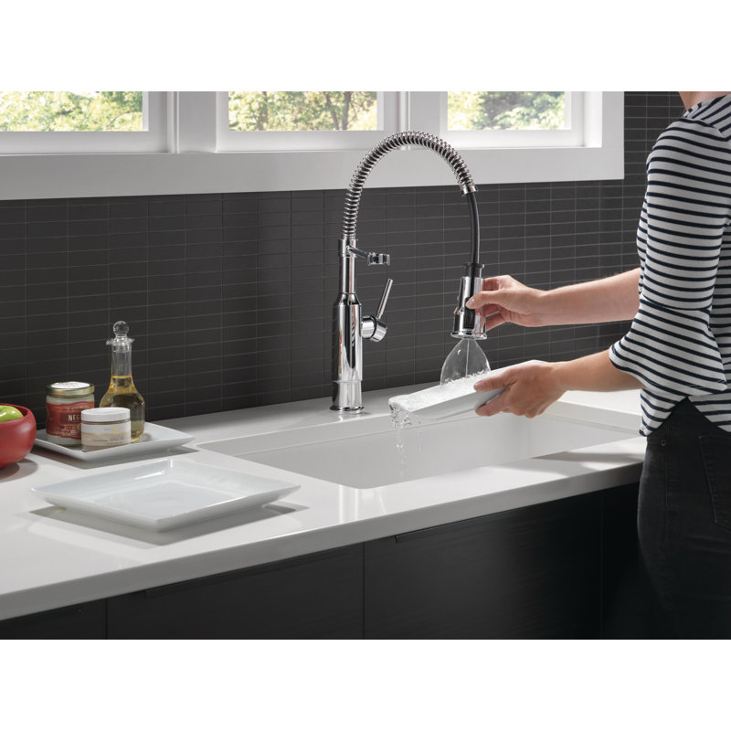 Robinet d'évier de cuisine Theodora Pro, Chrome chrome