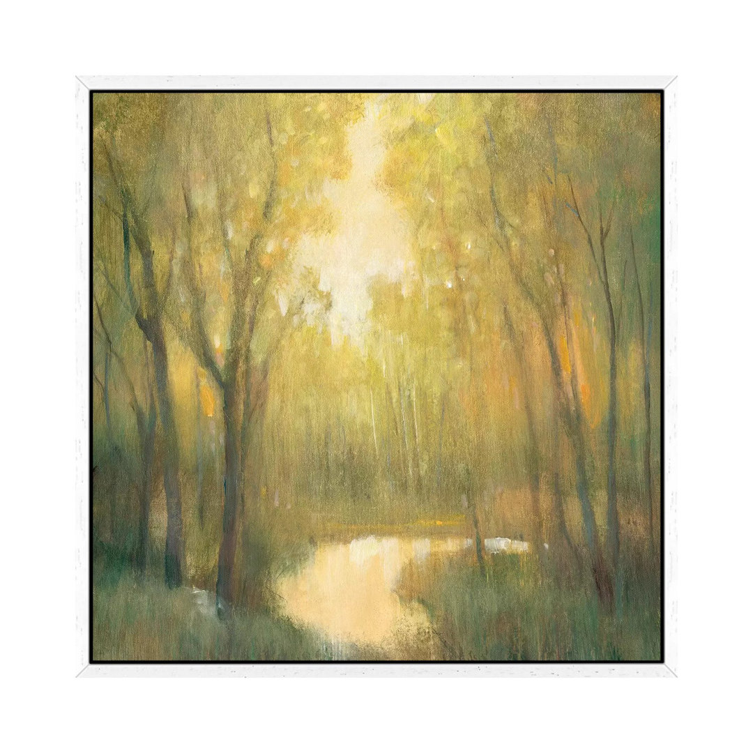 Forest Sanctuary II von Tim OToole - Gallery-Wrapped Canvas Giclée on Canvas