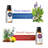 Aromatherapy Oils & Scents