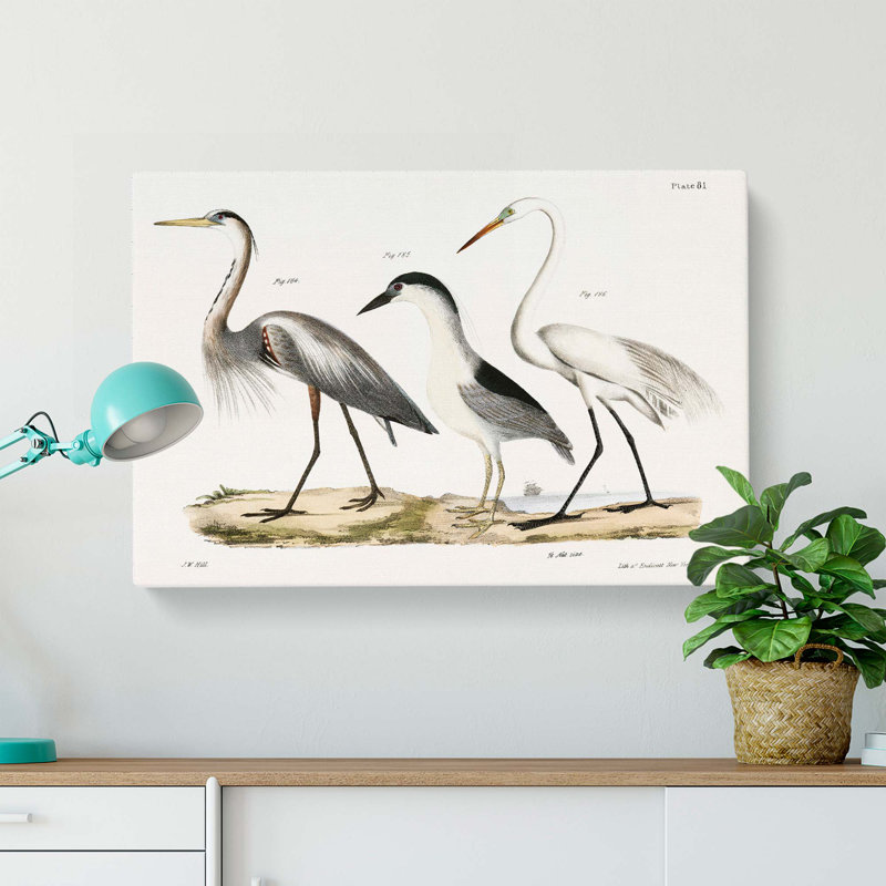 Three Herons by J.E. De Kay - Wrapped Canvas Painting, 40cm H x 60cm W x 3cm D