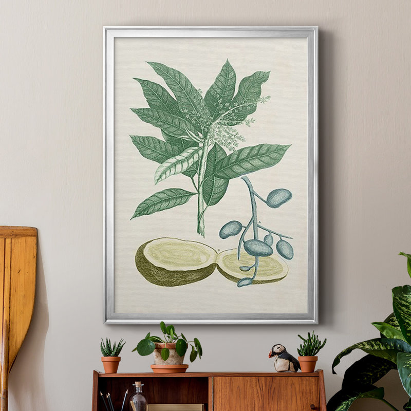 Buchoz Tropicals IV, reproduction d'art encadrée, H 30,5 po x l 22,5 po x P 1 po, Argent