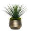 1 Plant