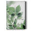 «Fields of Green II», impression sur toile tendue-1346241239