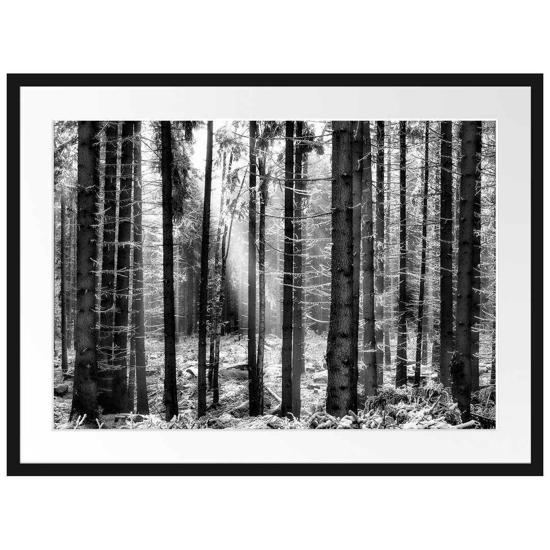 Gerahmtes Poster Winterwald