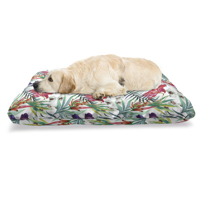 Multicolore, lit pour animal de compagnie Ambesonne