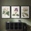 Antique Botanical Collection-369162312