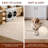 Somos Modern Machine Washable Cream Area Rug-516155429-516155430