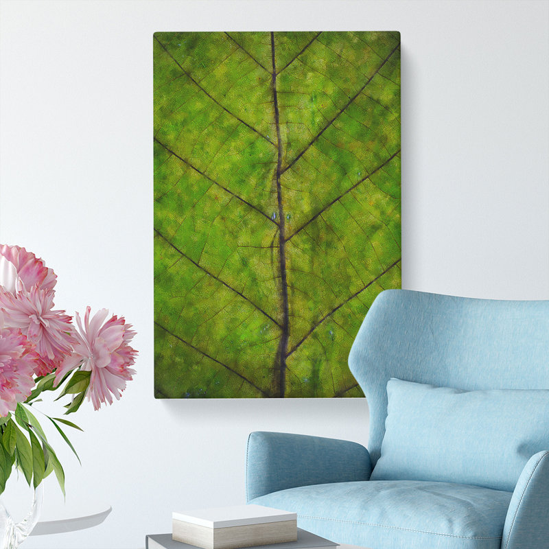 Leaf Lines - Wrapped Canvas, 50cm H x 35cm W x 3cm D
