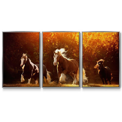Horse Motion V 3 pièces