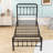 Assunta Metal Platform Bed with Headboard-794205387
