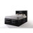Lochian Storage Standard Bed-234533636-219091518
