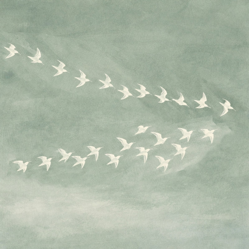 «Open Wings Bird Flight», art mural sur toile tendue, L 20 po x H 20 po x P 1,5 po
