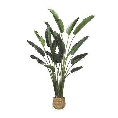 Cape Town Faux Bird of Paradise Tree in Fiberglass/Cement/Bamboo Planter