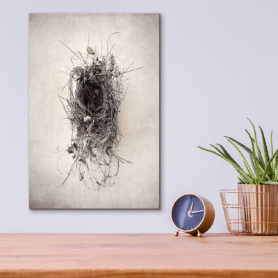 «Nest II» par Debra Van Swearingen - photographie sans cadre