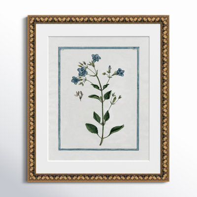 Colombe "Shabby Elegance Botanical II" Print