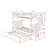 Fazer Kids Twin Over Twin Bunk Bed with Trundle-260489432