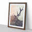 Portrait of a Stag - Picture Frame Painting-62759801-62759800