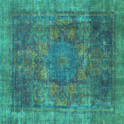 Montanye Performance Oriental Indoor Rug