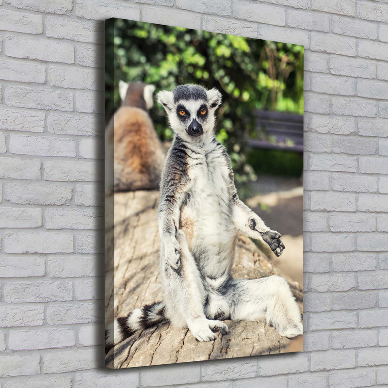 Lemur - Wrapped Canvas Print