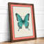 Symmetrical Butterfly Study Botanical - Framed Print-30129595-30129588