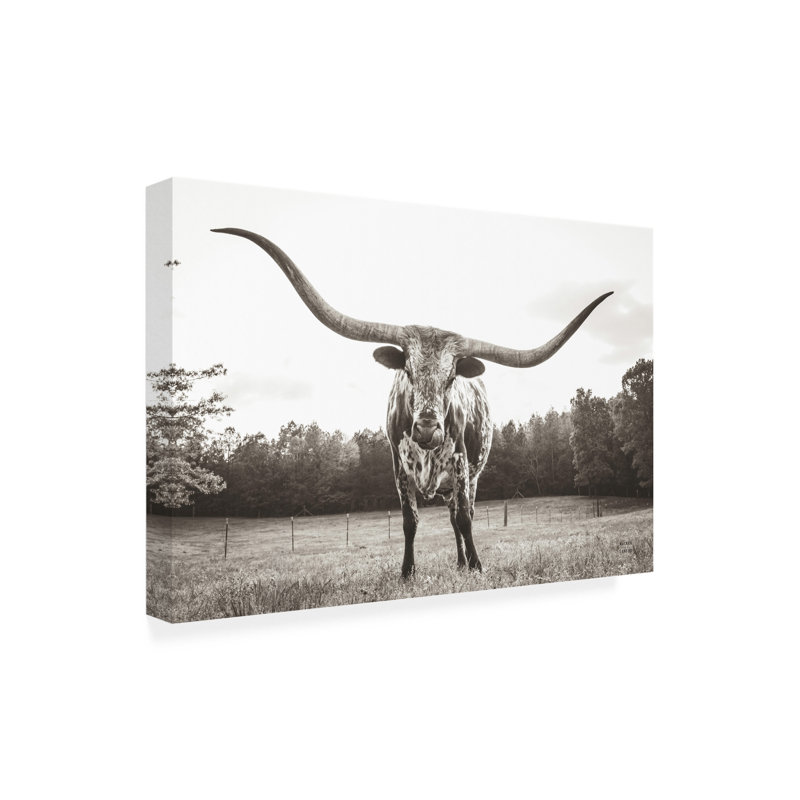 Art mural sur toile «Trademark Fine Art» par Nathan Larson, H 12 po x l 19 po