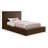 Ishia Upholstered Platform Bed-118777705-88302776