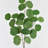 Audet Green Artificial Eucalyptus Branch(1 Stem)