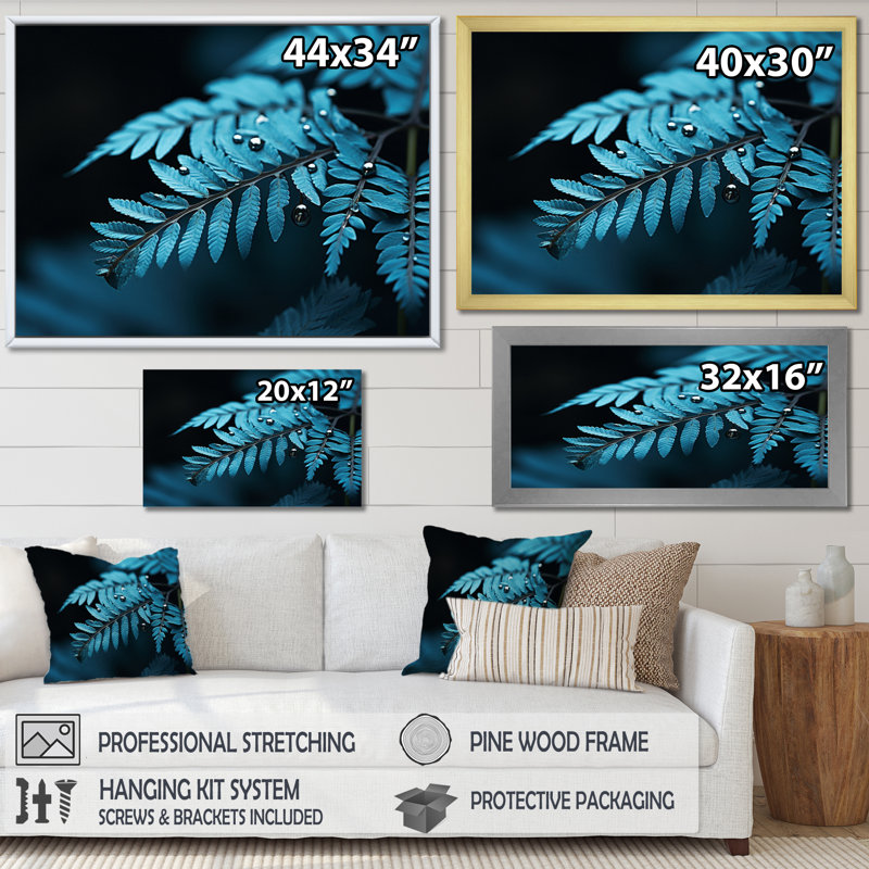 Ferns Turquoise Whimsy II - imprimé, Toile tendue, H 30 po x l 40 po x P 1,5 po