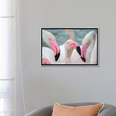 " Flamingos IV " by Ben Heine