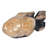 Vaucher Petrified Wood Fish