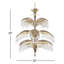 Hildebrandt 14 - Light Chandelier