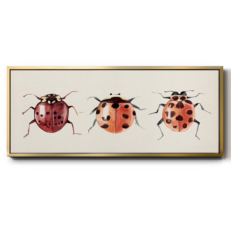 Coccinelle, H 20 po x l 50 po