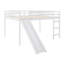 Loft Bed With Slide