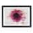Black Framed selected
