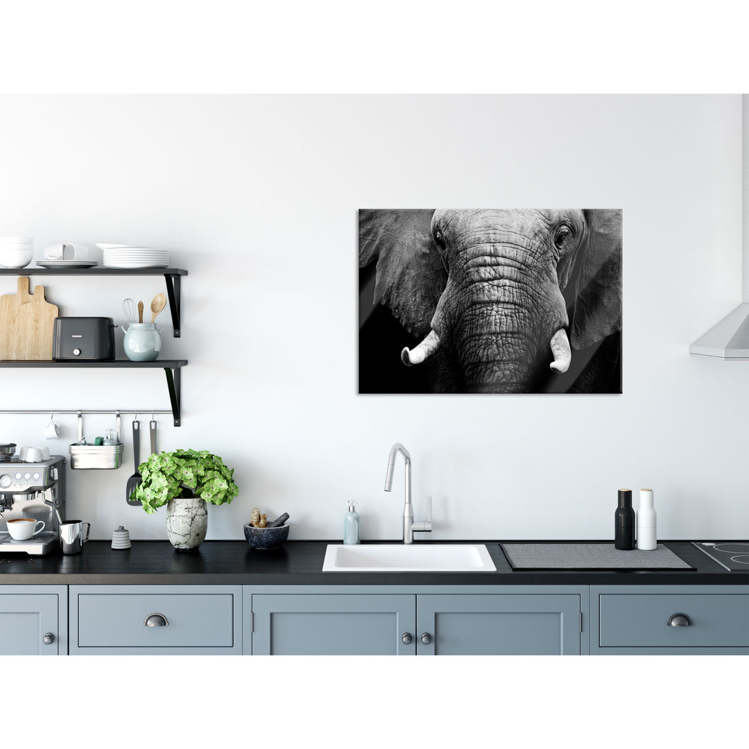 Glasbild Elefant Porträt