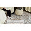 Tapis d'intérieur 100% polyester Culmore-1941363030