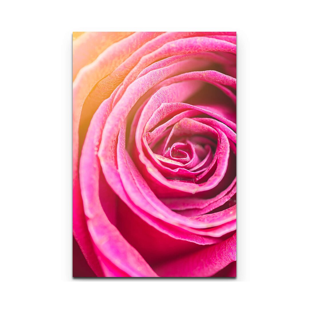 Leinwandbild Rose – Nahaufnahme