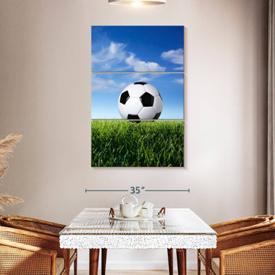 Ballon de soccer Sireci sur gazon