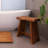 Massaro 15.7'' W Teak Shower Bench