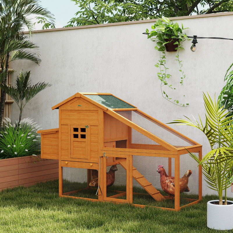 Weather Resistant Chicken Cage